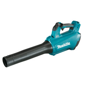 leafsnow blower